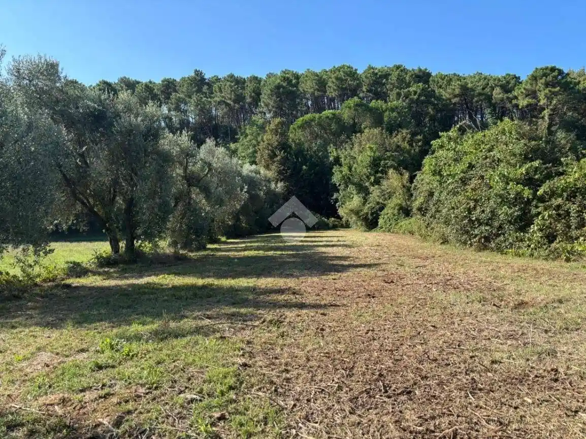 Rustico via Santa Maria del Giudice traversa 3, San Lorenzo a Vaccoli, Lucca - foto 3