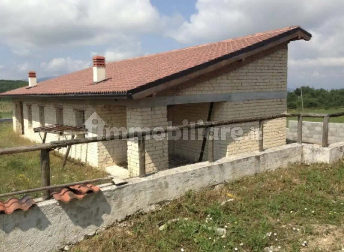 Villa bifamiliare, ottimo stato, 27920 m², Centro, Cercemaggiore - foto 4