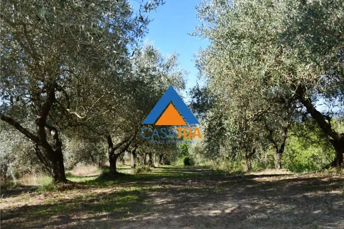 Rustico - Casale - foto 3