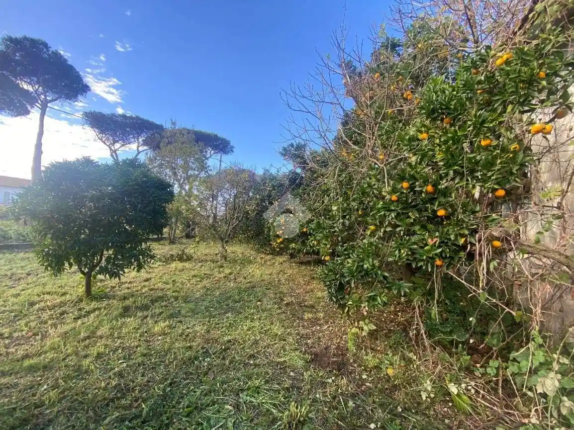 Terratetto plurifamiliare Strada Cioccatelli, Borgo Sabotino, Latina - foto 4
