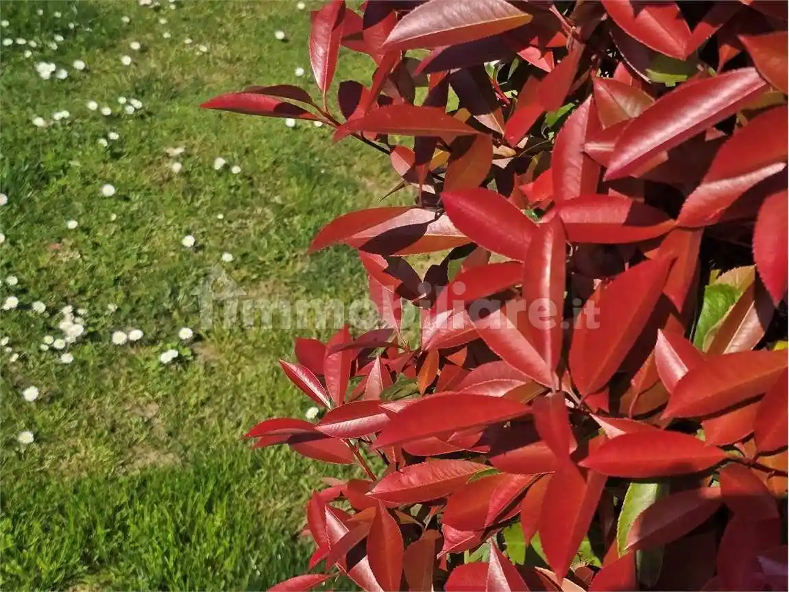 Appartamento Generale Carlo Alberto Dalla Chiesa, Lanzé, Quinto Vicentino - foto 4