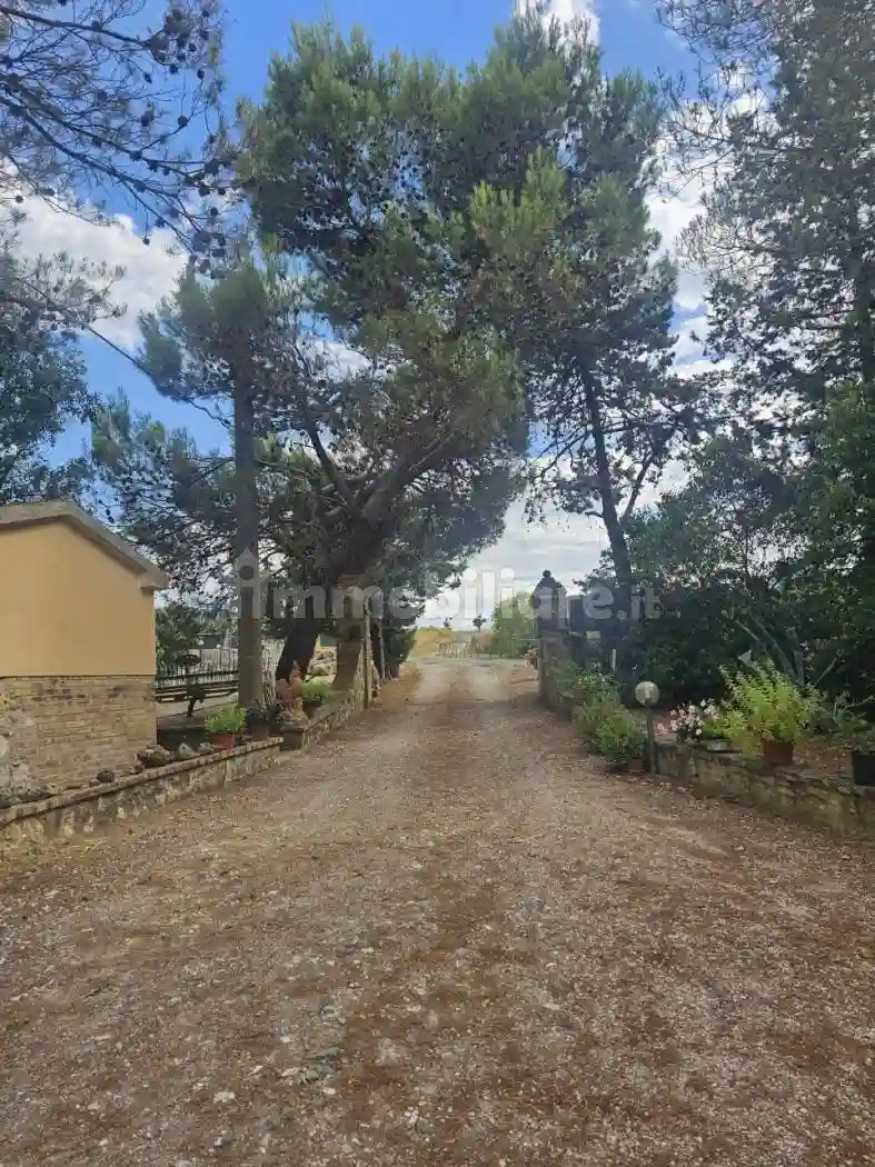 Palazzo - Edificio - foto 3