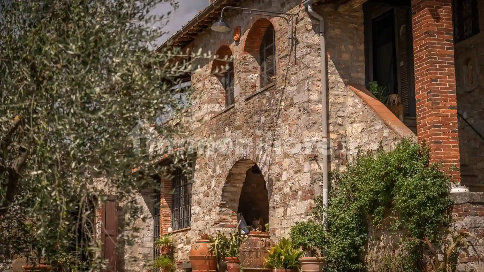 Rustico - Casale - foto 5