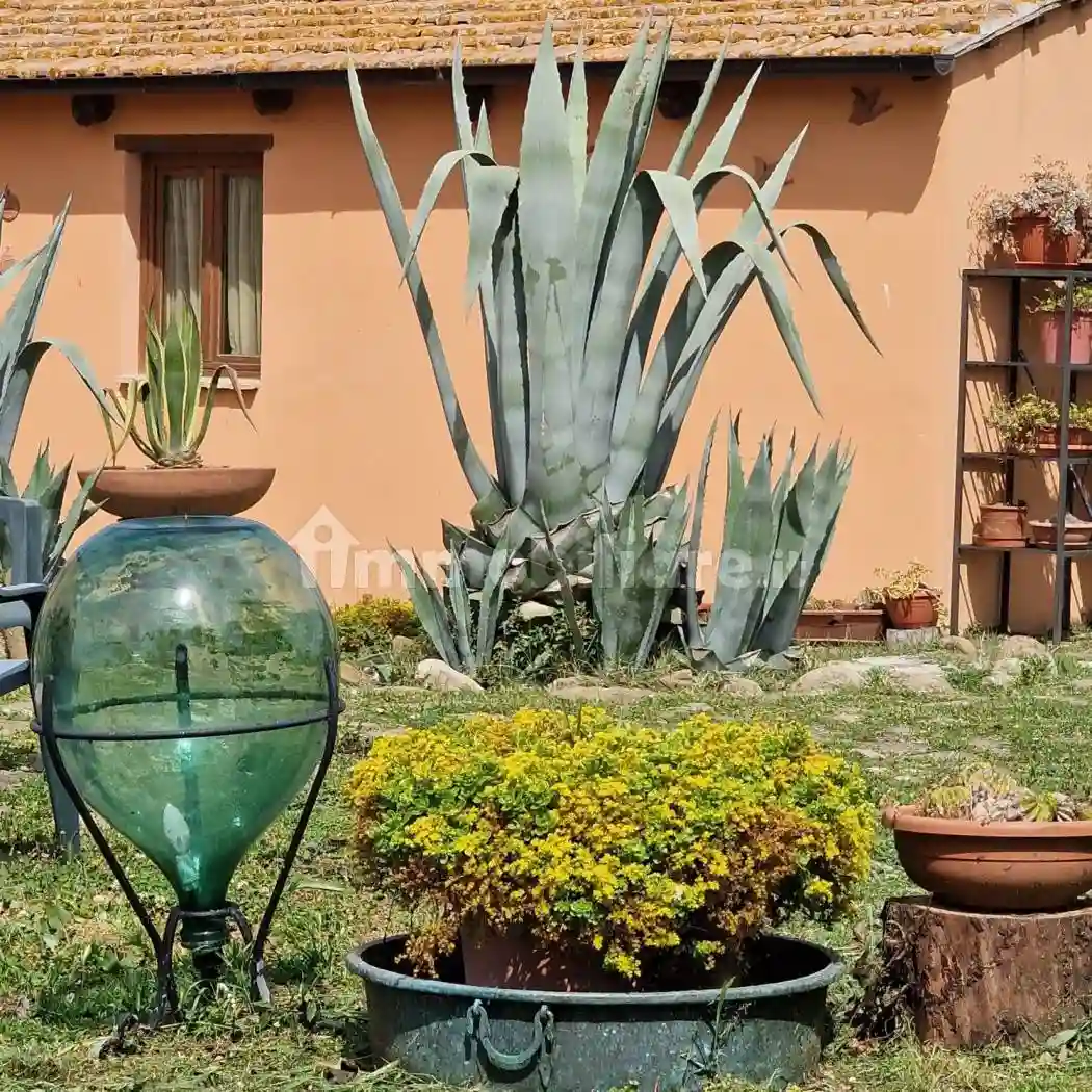 Rustico - Casale - foto 5