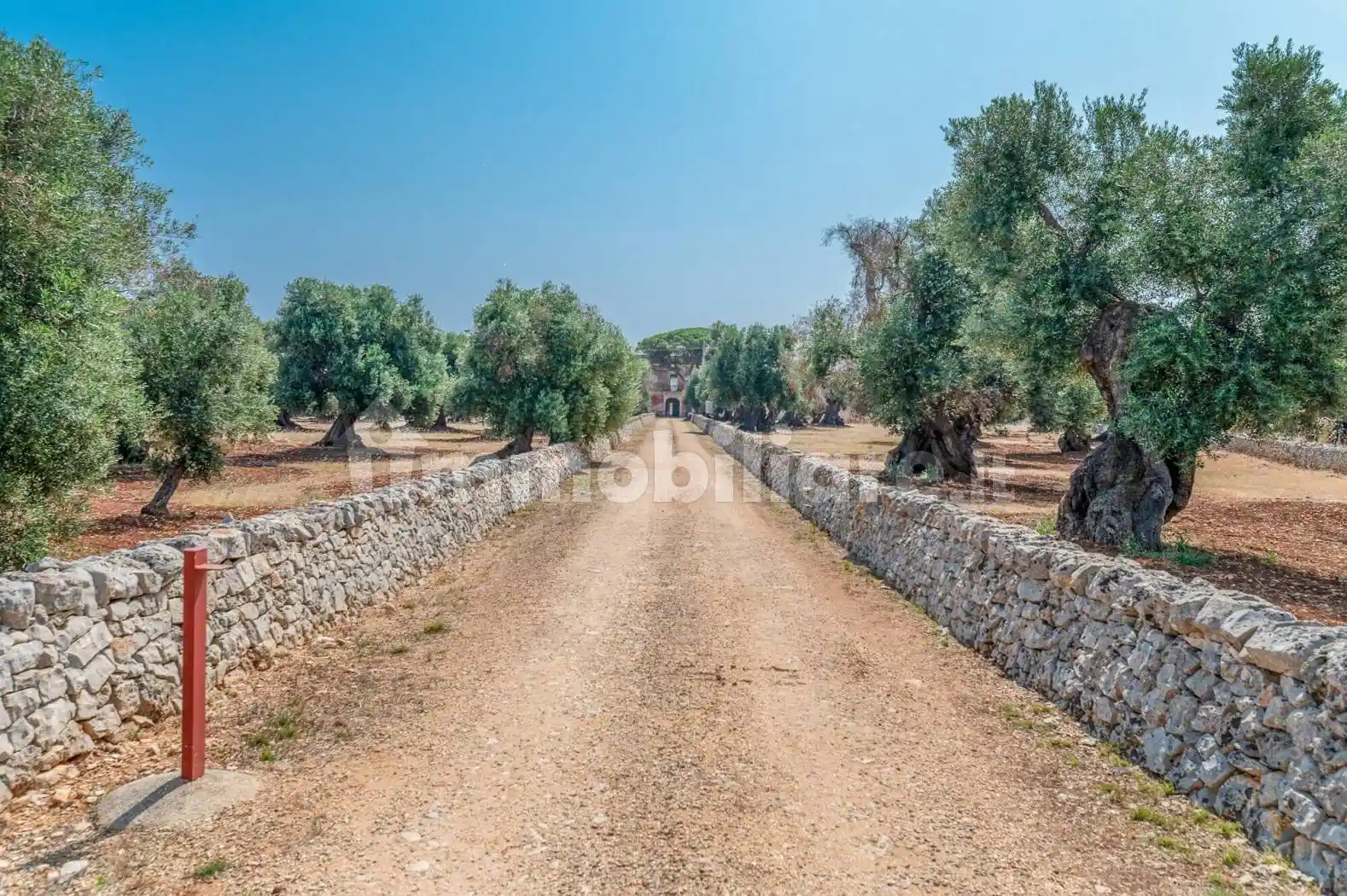 Masseria, da ristrutturare, 500 m², Contrada Guardariello, Giovanni Fasano, Ostuni - foto 4
