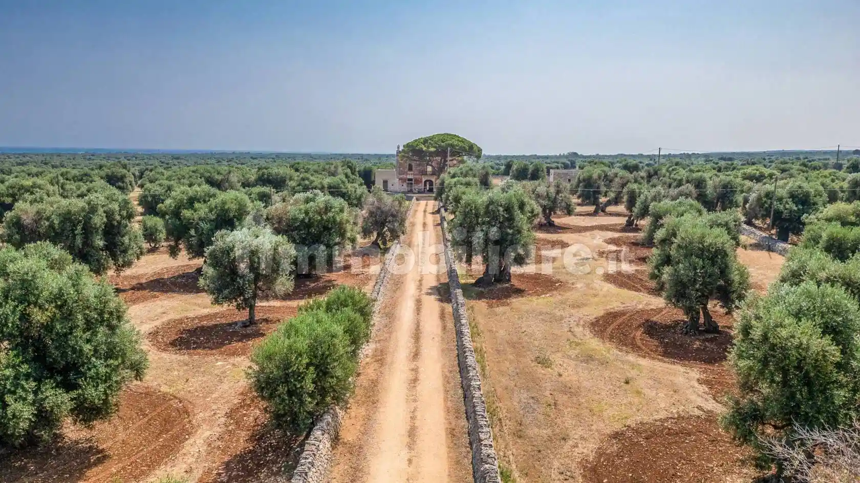 Masseria, da ristrutturare, 500 m², Contrada Guardariello, Giovanni Fasano, Ostuni - foto 5