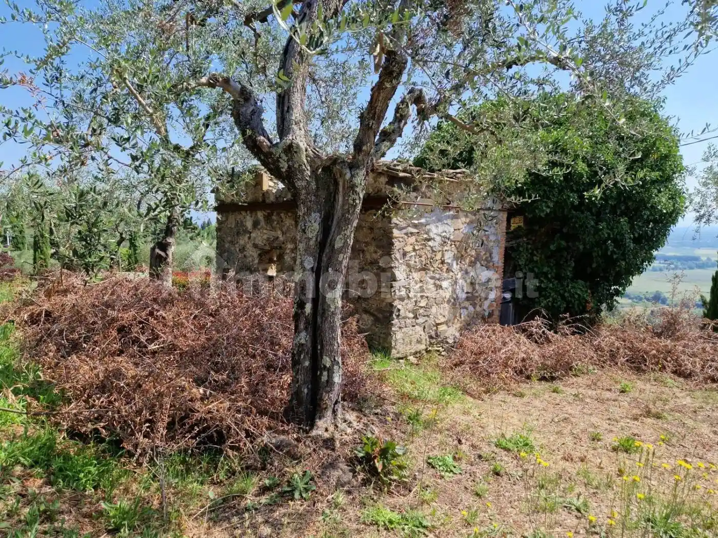 Rustico - Casale in vendita a Capannori