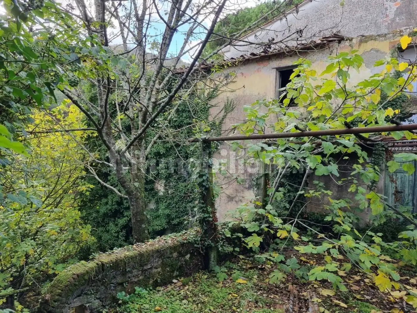 Rustico - Casale in vendita a Lucca