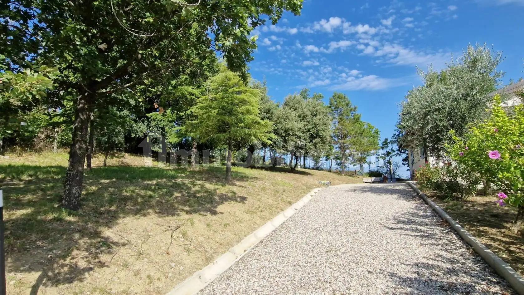 Villa unifamiliare via della Villa 12a, Casalfiumanese - foto 4