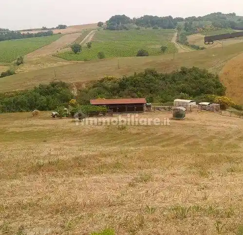 Rustico - Casale in vendita a Cinigiano