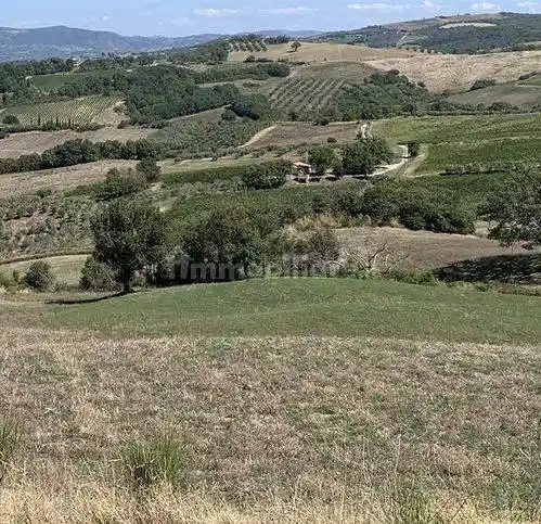 Rustico - Casale in vendita a Cinigiano