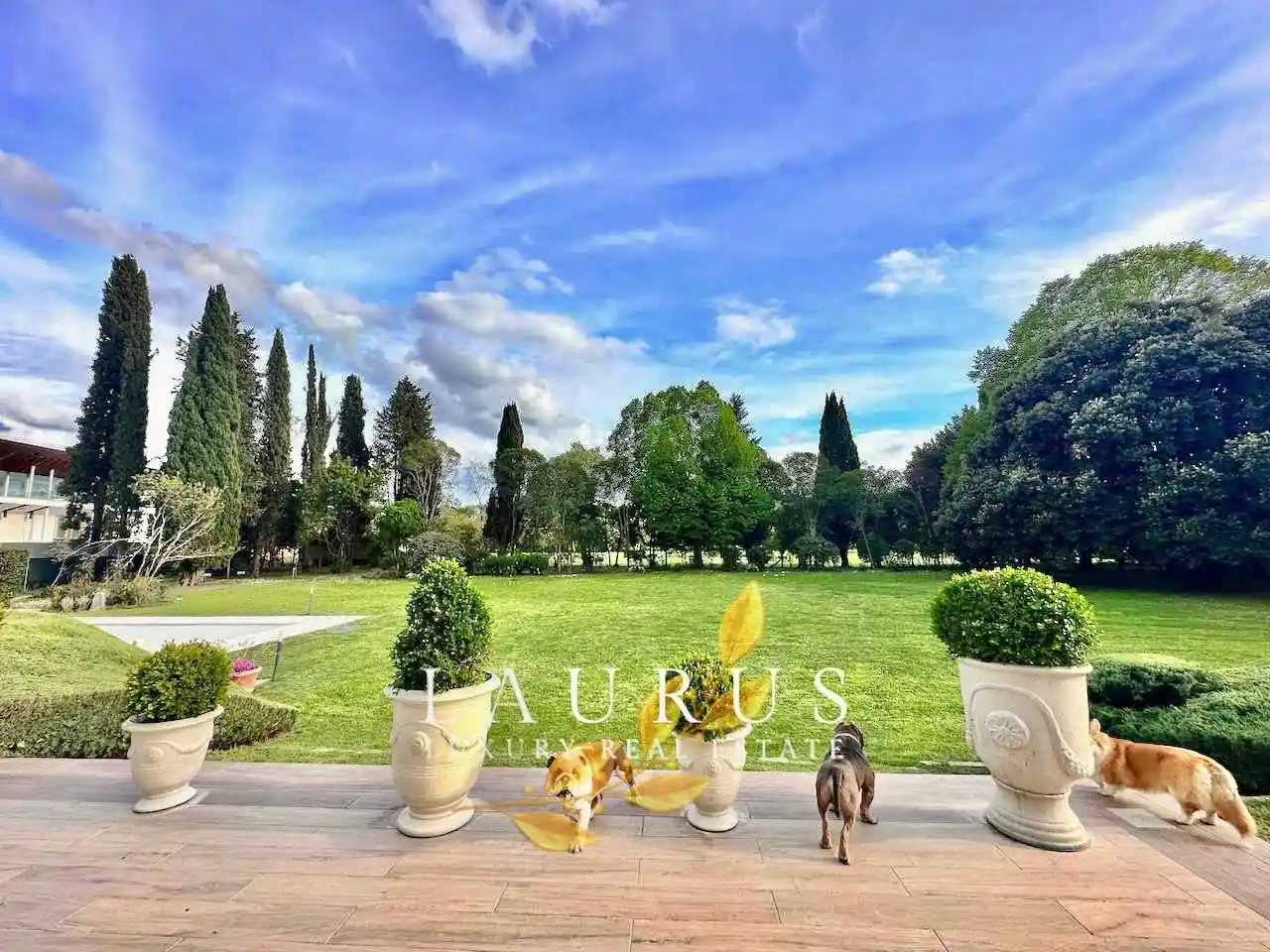 Villa unifamiliare via del Padule, Rimaggio, Bagno a Ripoli - foto 4