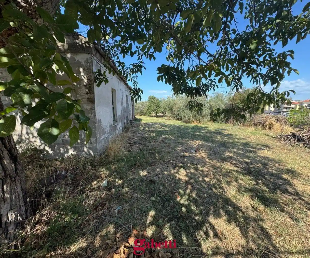 Rustico via maiella, snc, Centro, San Salvo - foto 4