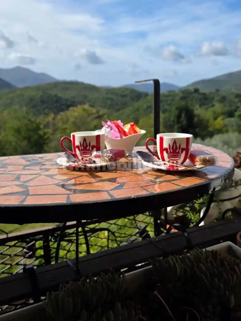 Appartamento in affitto a Caiazzo