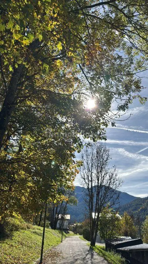 Quadrilocale via Fusineles, Borca di Cadore - foto 5