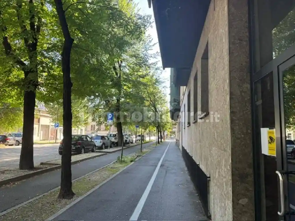 Trilocale viale Trento e Trieste, Via Dante, Cremona - foto 3