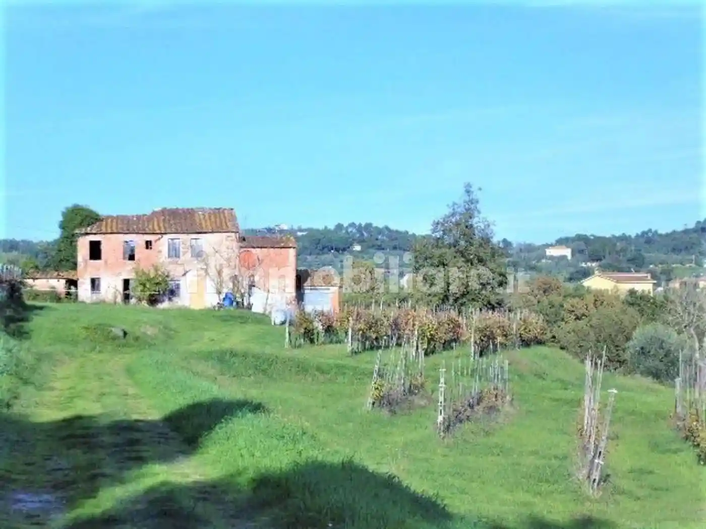 Rustico - Casale in vendita a Montecarlo