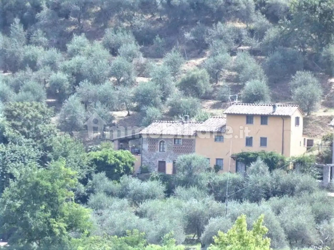 Rustico - Casale in vendita a Capannori