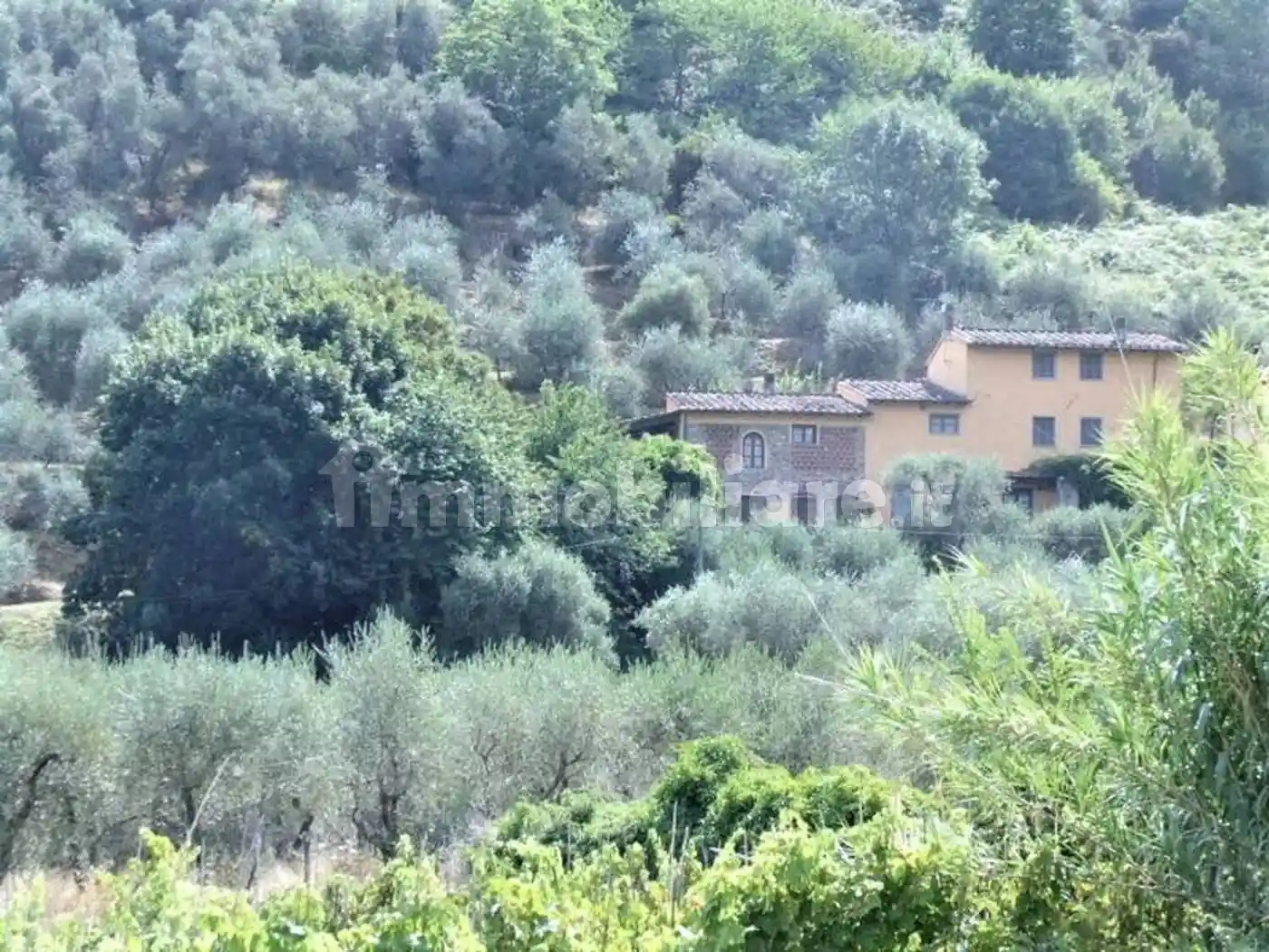 Cascina via Di Vorno No Number, Vorno, Capannori - foto 3