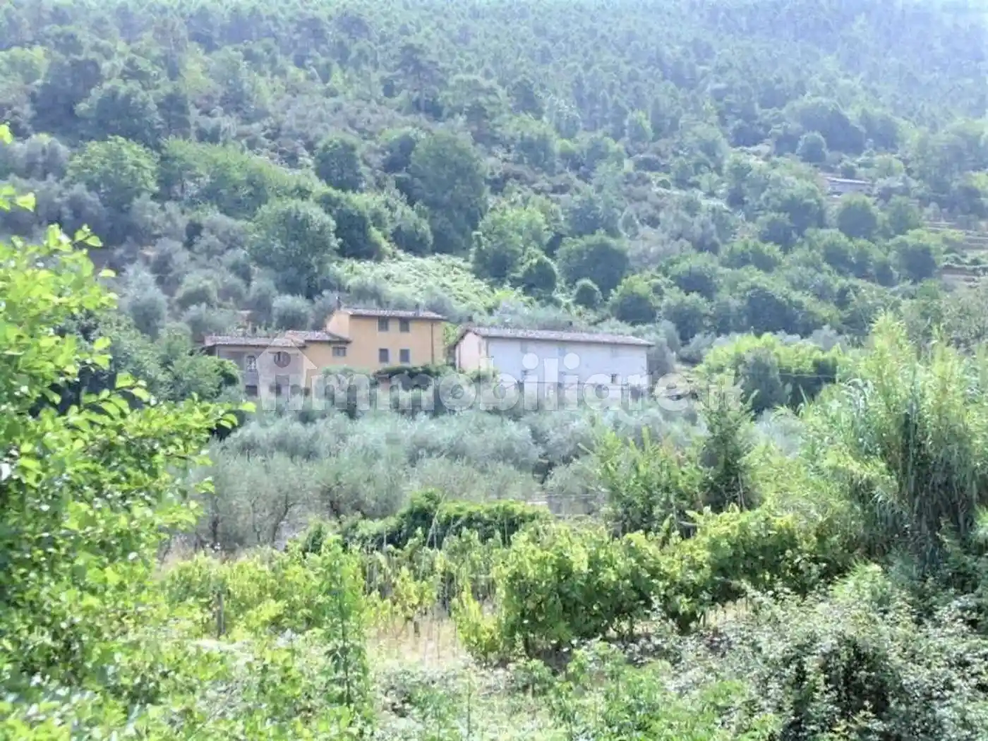 Cascina via Di Vorno No Number, Vorno, Capannori - foto 4