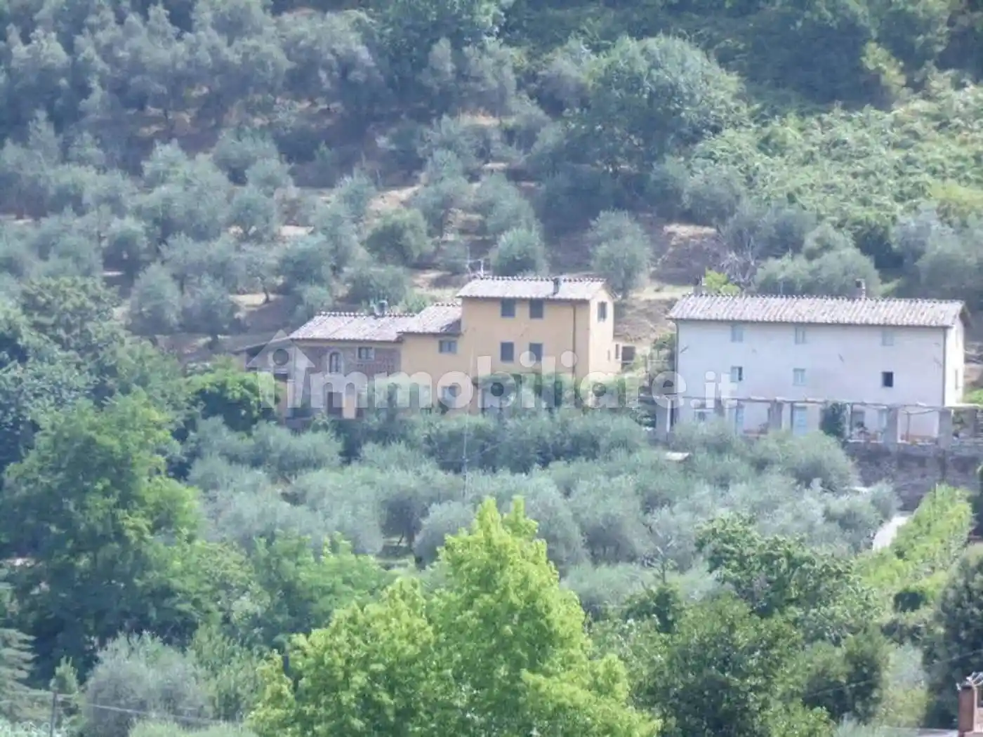 Cascina via Di Vorno No Number, Vorno, Capannori - foto 5