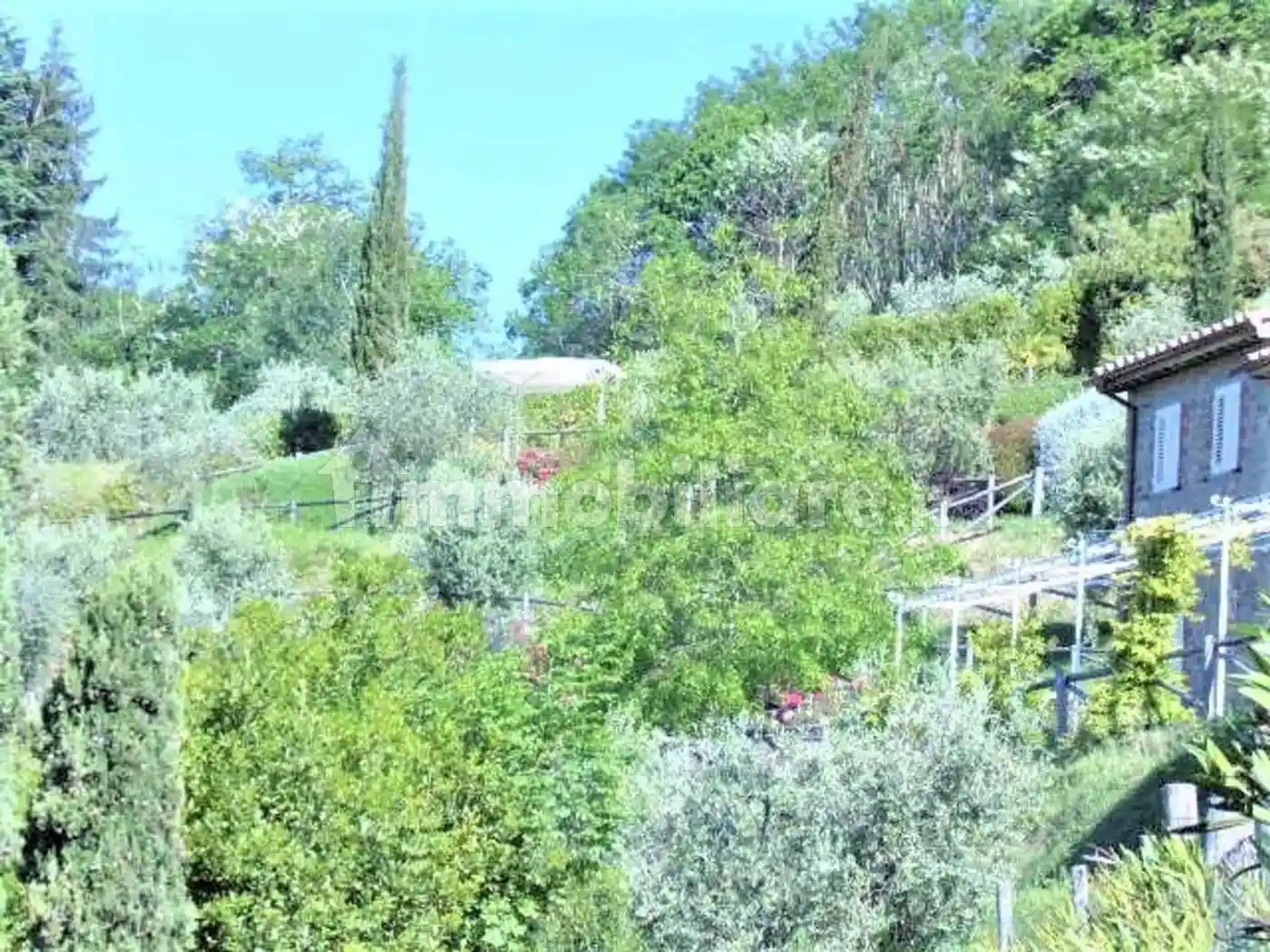 Cascina via Gelli No Number, Petrognano - San Gennaro, Capannori - foto 3