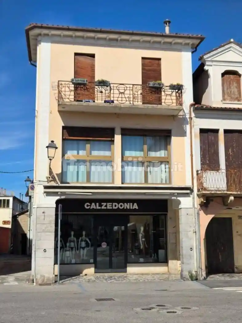 Casa indipendente in vendita a Piove di Sacco