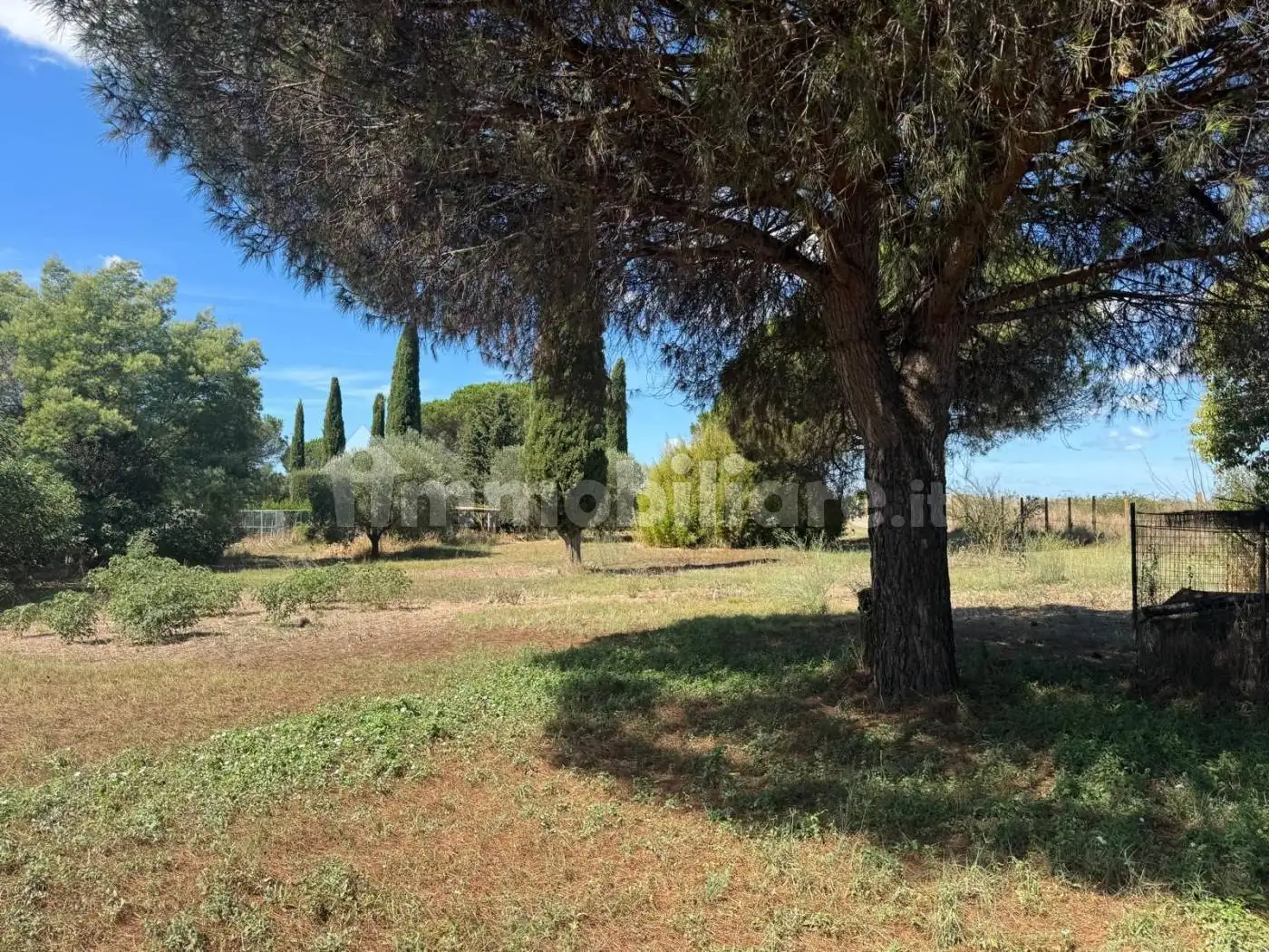 Villa in vendita a Roma