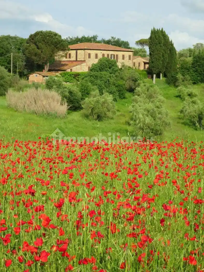 Bilocale Strada delle Tolfe 31, Le Tolfe - Monteliscai, Siena - foto 4