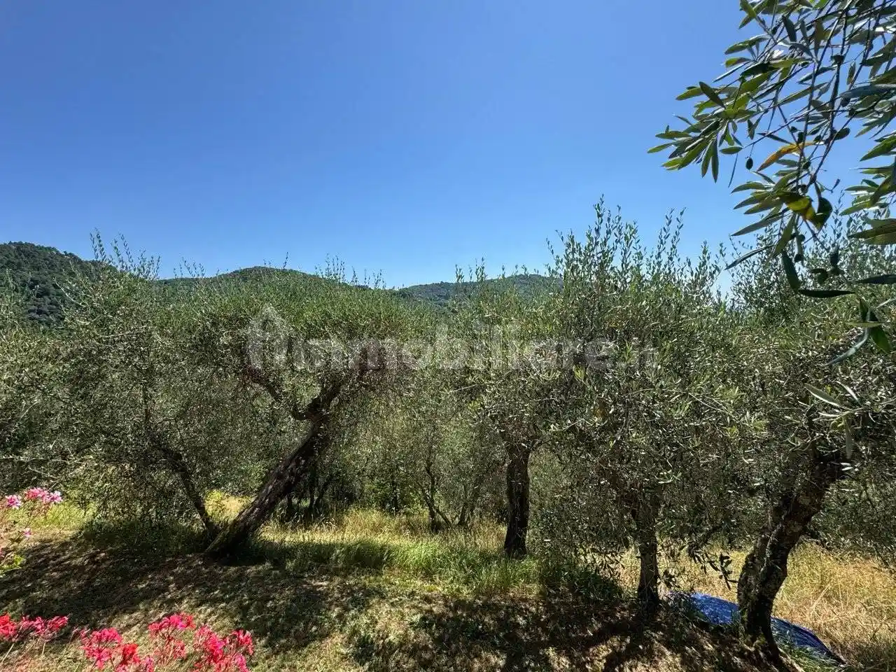 Casa colonica via di Cerreto, Mutigliano - Torre, Lucca - foto 4