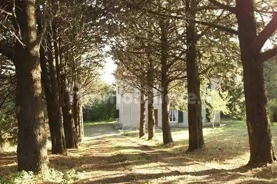 Rustico - Casale in vendita a Sorano