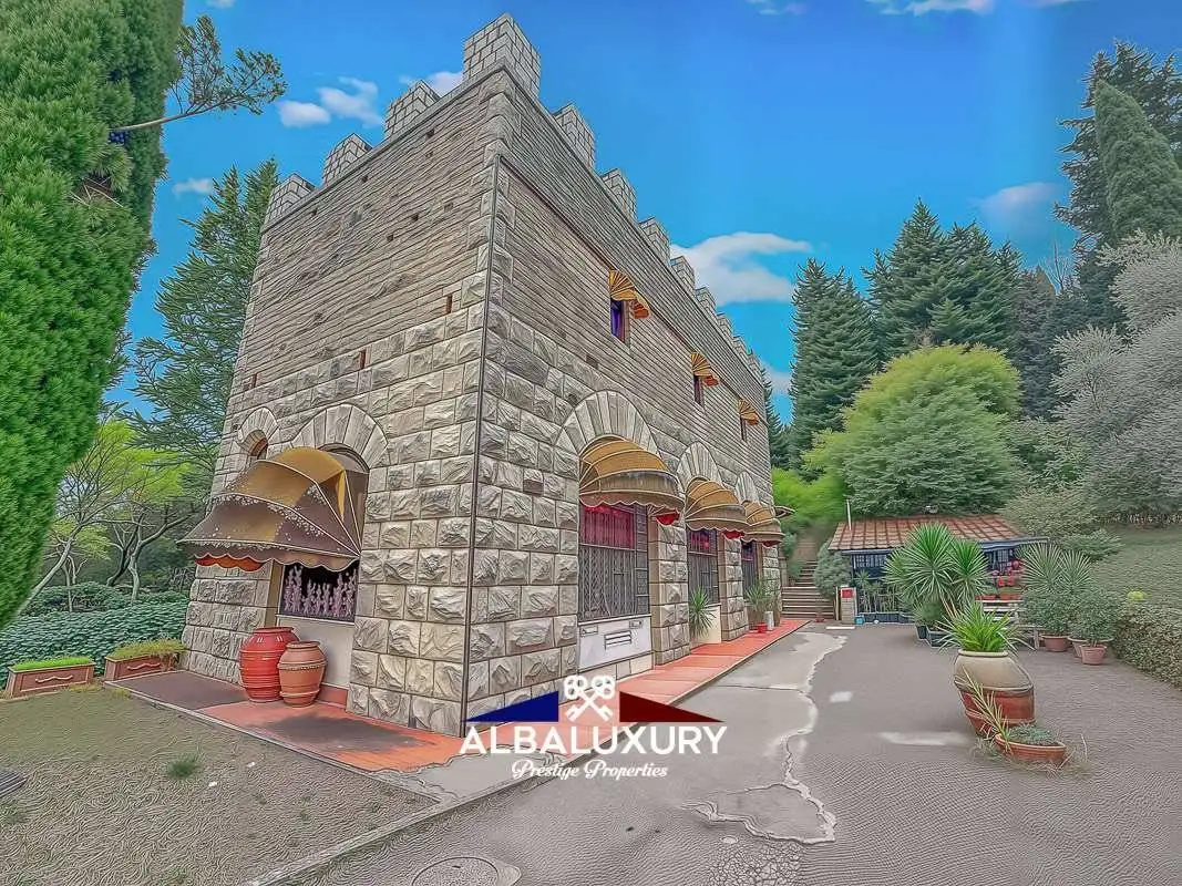 Palazzo - Edificio in vendita a Firenze