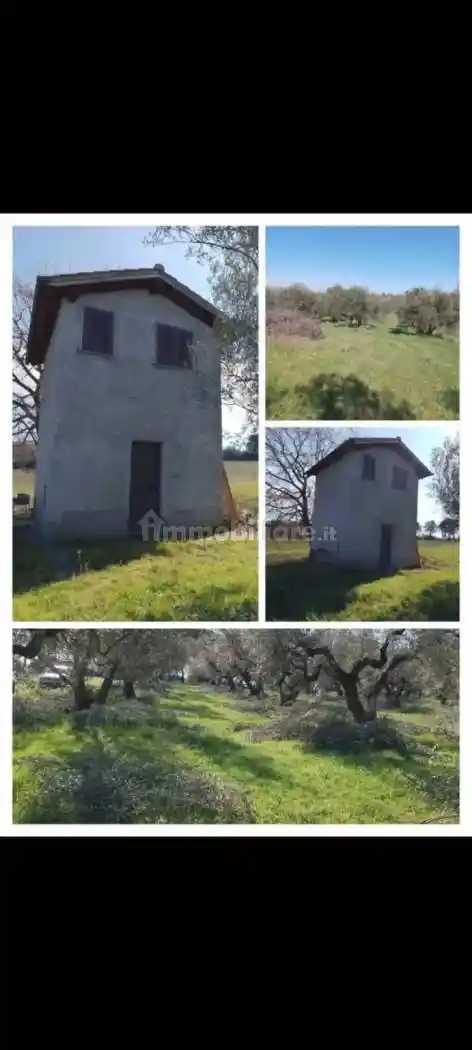 Rustico - Casale in vendita a Viterbo