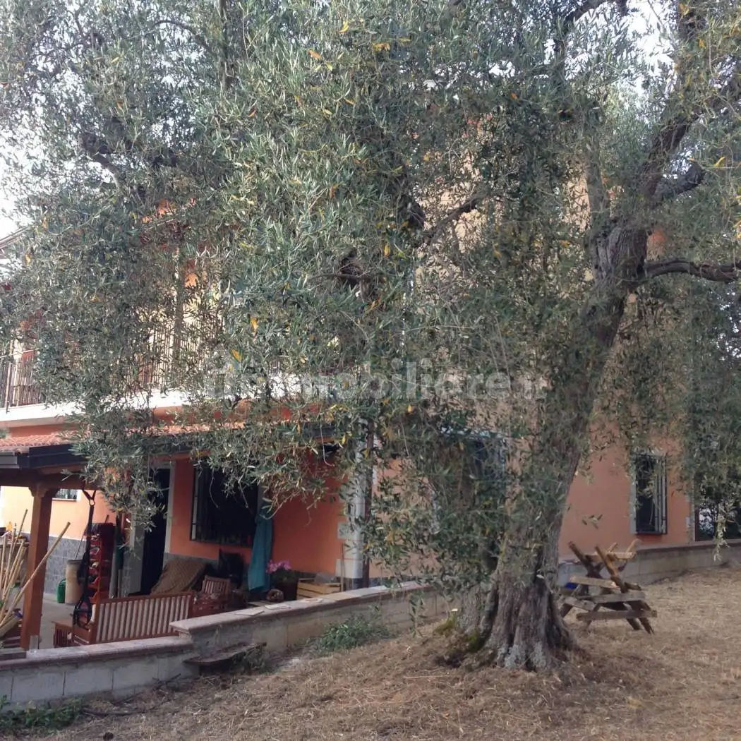 Villa in vendita a Auletta