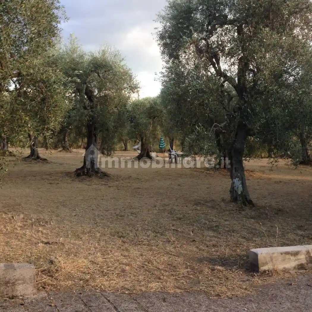 Villa unifamiliare Strada Comunale Cerreta, Auletta - foto 4