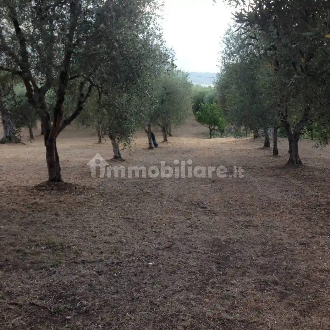 Villa unifamiliare Strada Comunale Cerreta, Auletta - foto 5