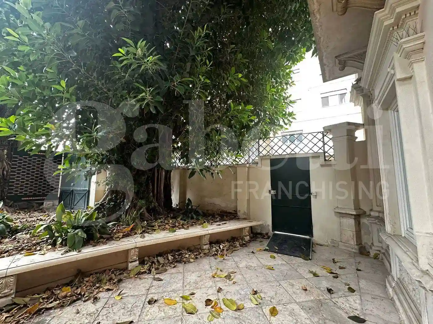 Palazzo - Edificio - foto 4