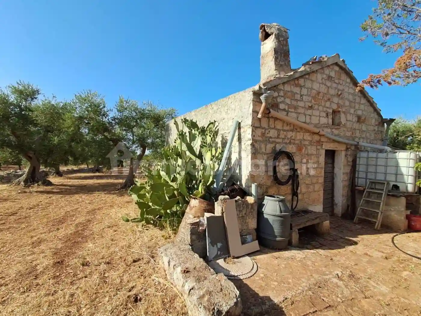 Rustico - Casale - foto 3
