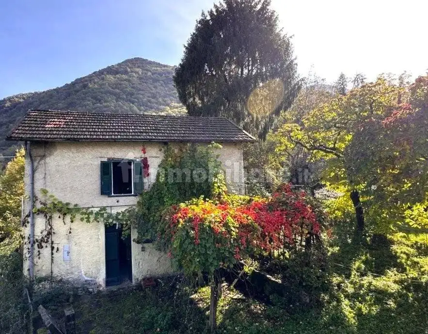 Terratetto unifamiliare Macchero, Argegno - foto 3