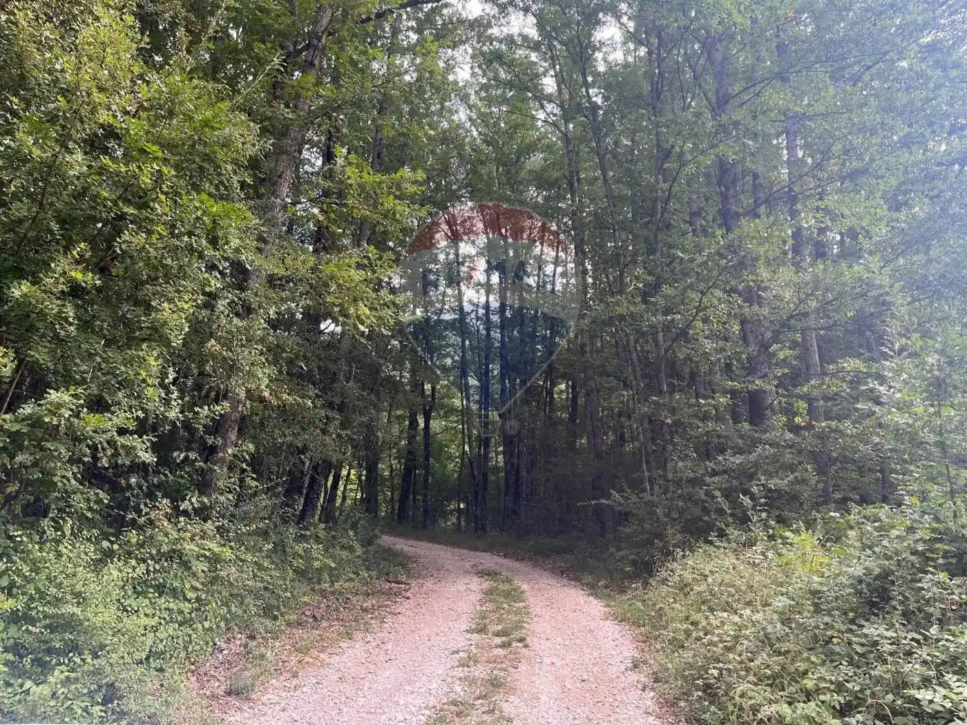 Villa unifamiliare Sr 83 Marsicana, Civitella Alfedena - foto 4