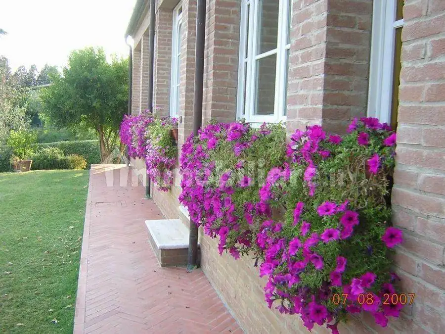 Appartamento in affitto a Siena