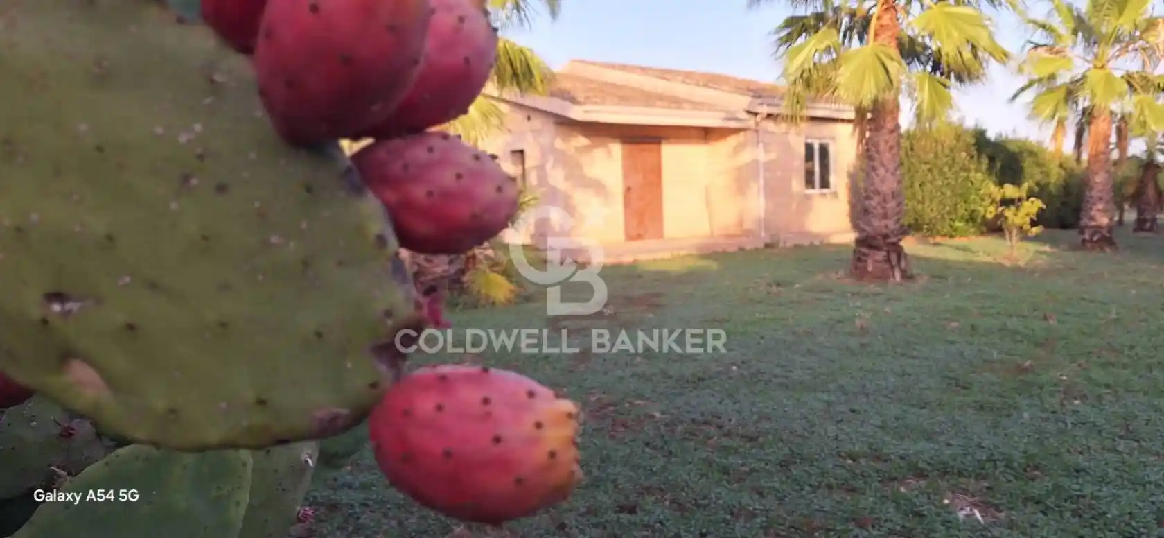 Villa unifamiliare Vanella 97 Sn, Michelica, Modica - foto 4