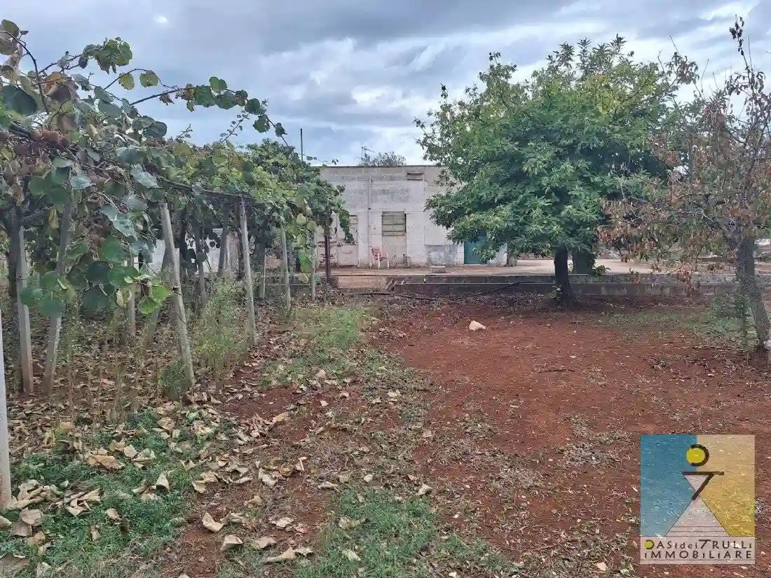 Rustico - Casale - foto 3