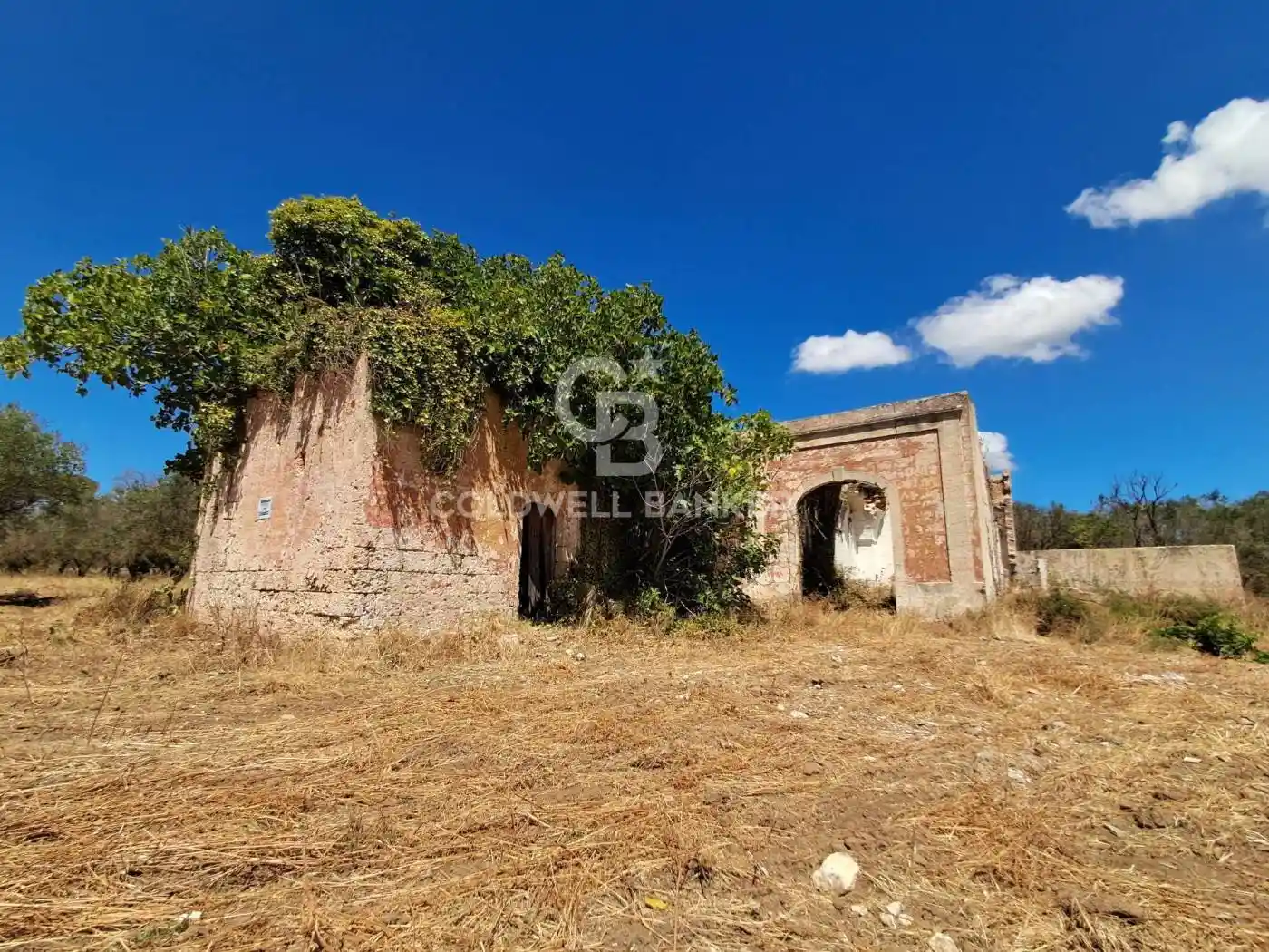 Rustico - Casale in vendita a Mesagne