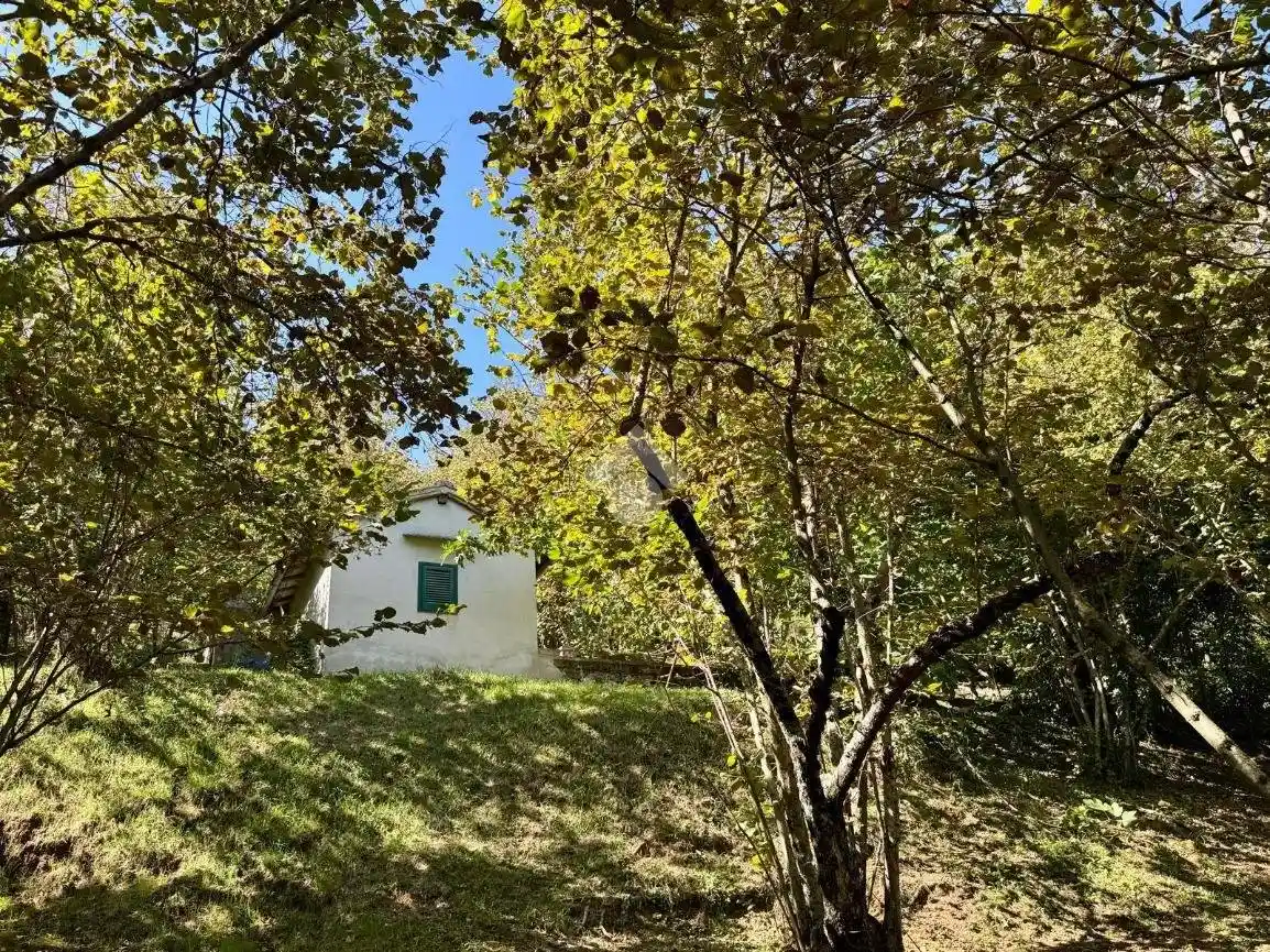 Rustico - Casale in vendita a Caprarola