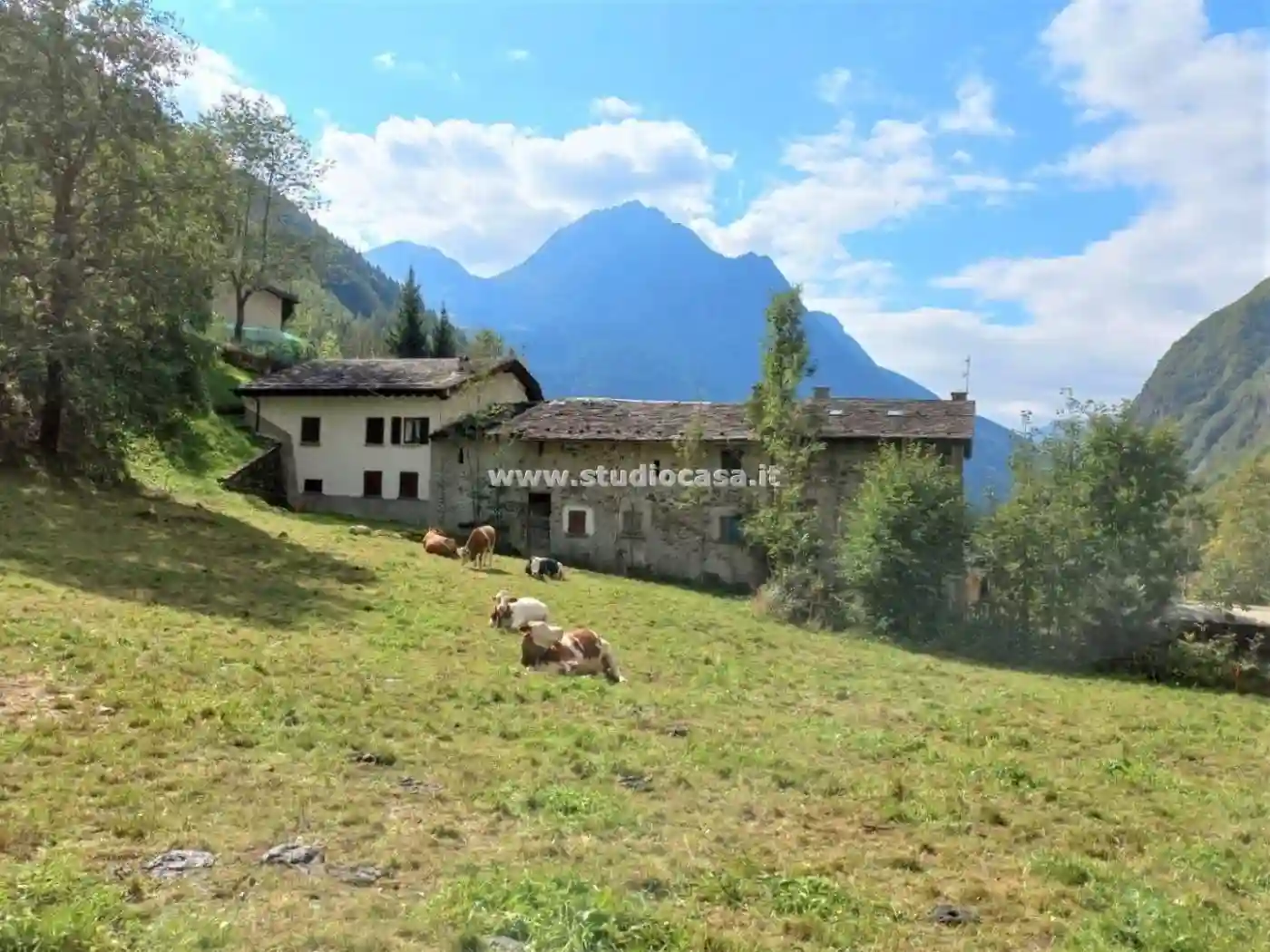Rustico - Casale - foto 2