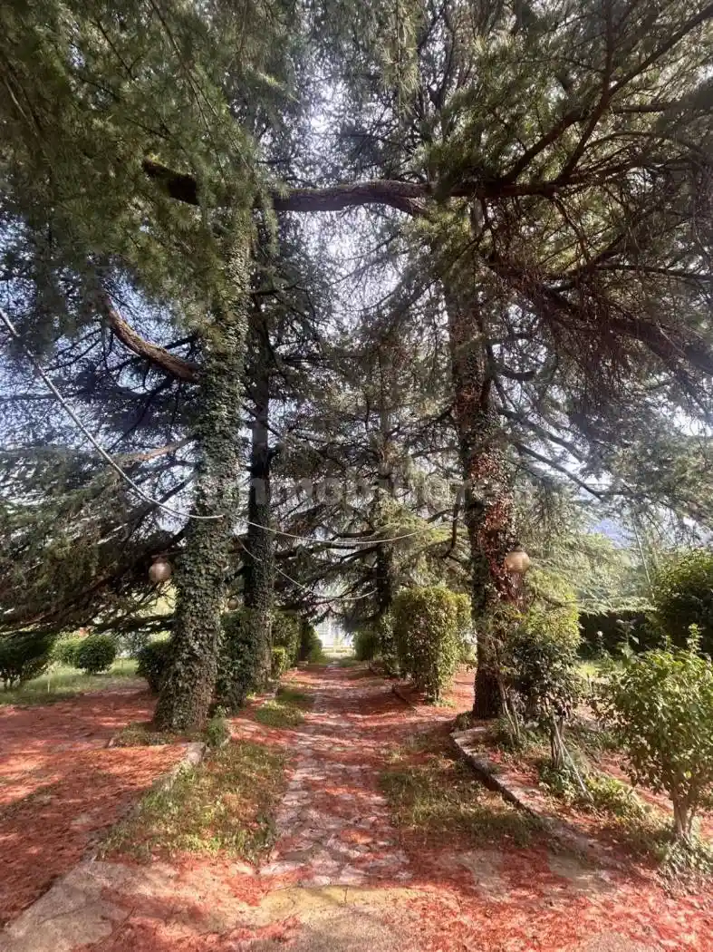 Palazzo - Edificio - foto 5