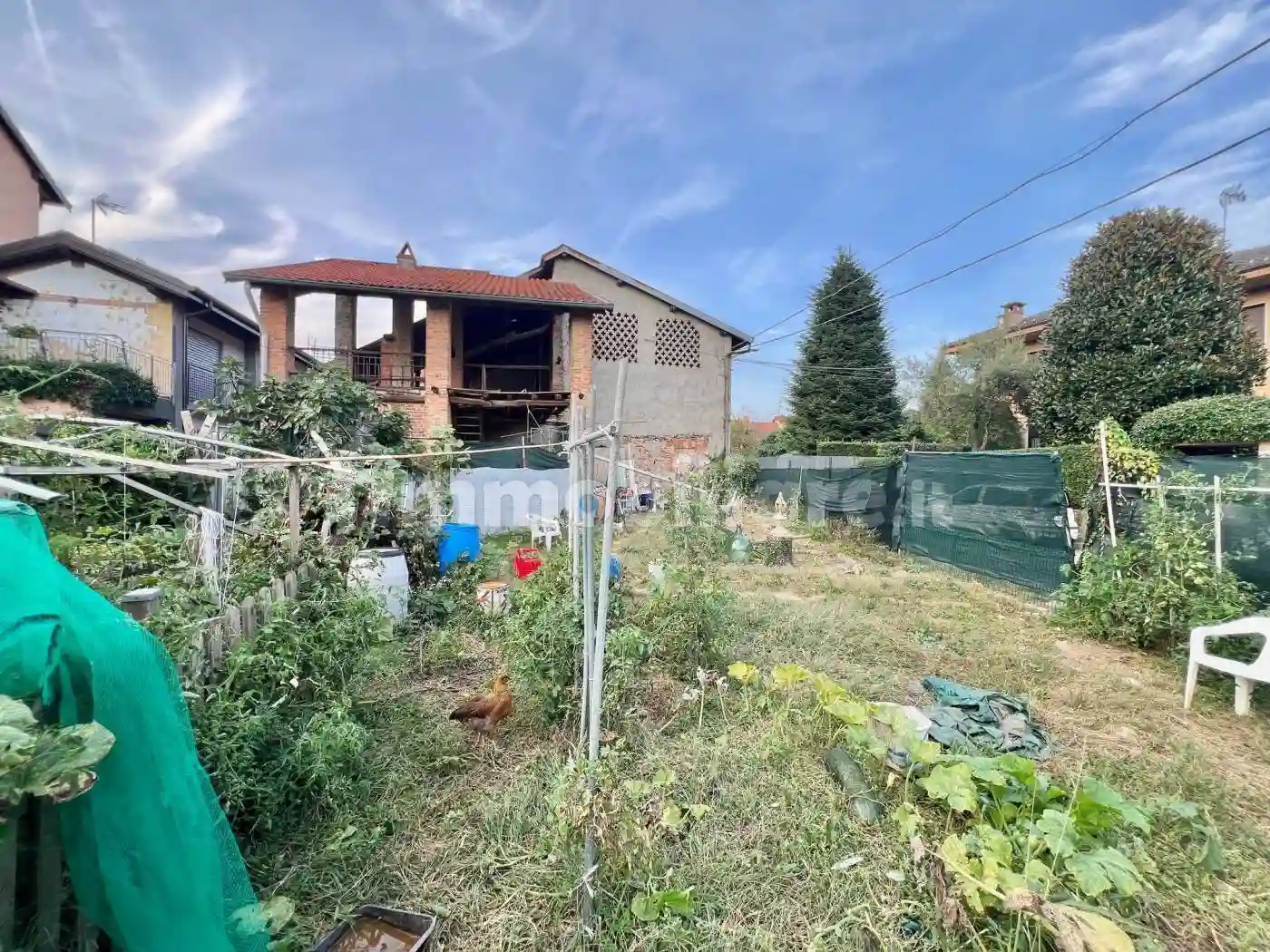 Rustico - Casale - foto 5