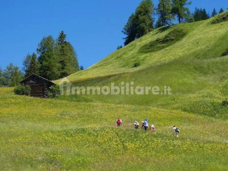 Baita Armentara, Badia - foto 4