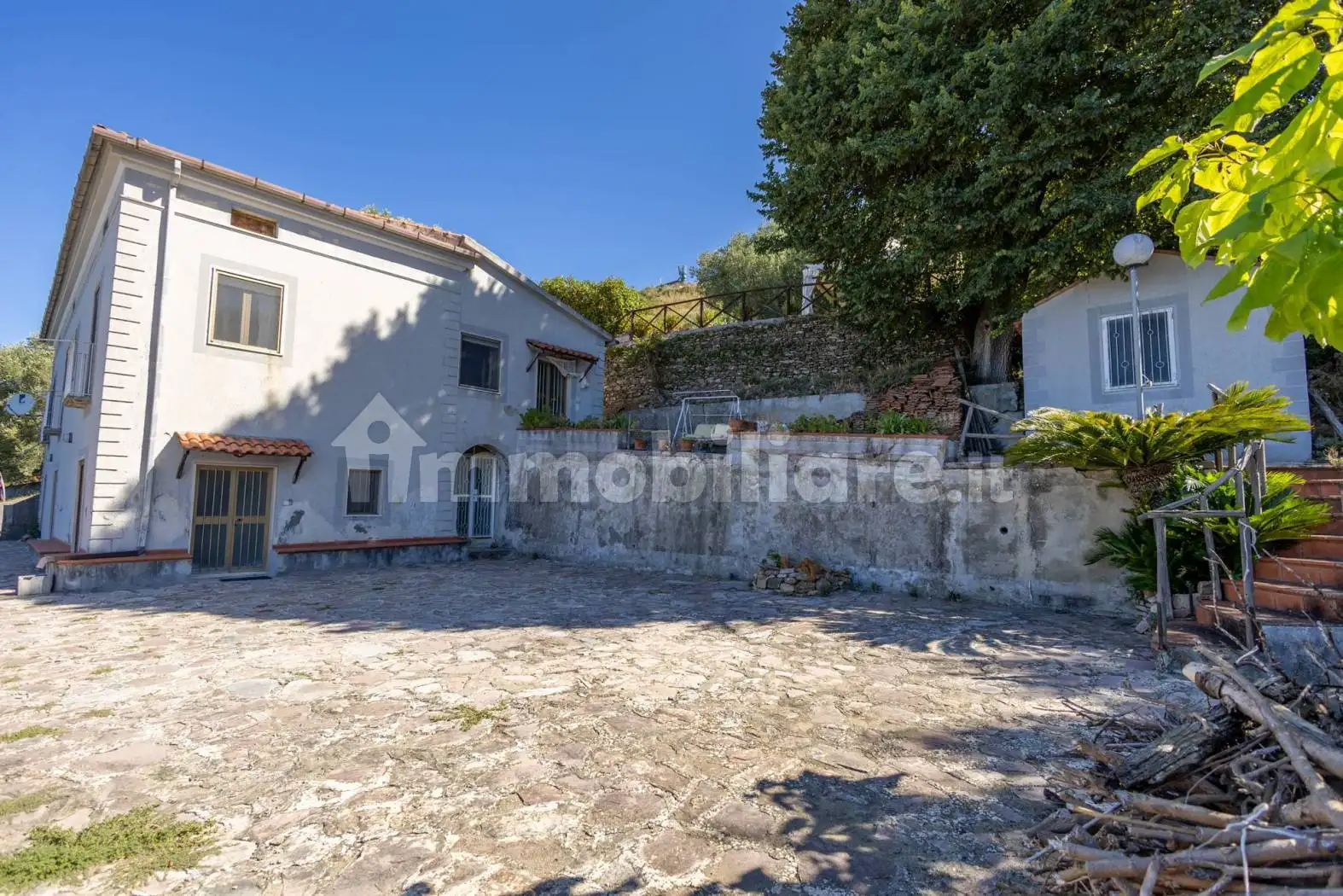 Casale via dei Carrubi 3, Ascea - foto 5